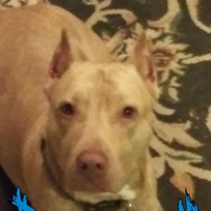 Meet your Posher, Randy